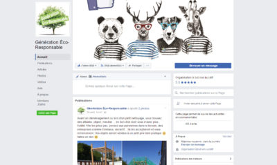 interface page facebook GER