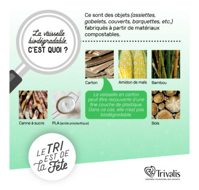 2019_Vaisselle biodegradable_Matiere