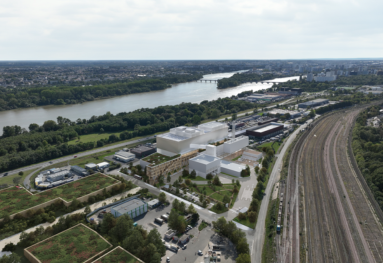 vue prairie de mauves